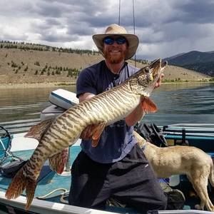 Meet your Posher, Graham